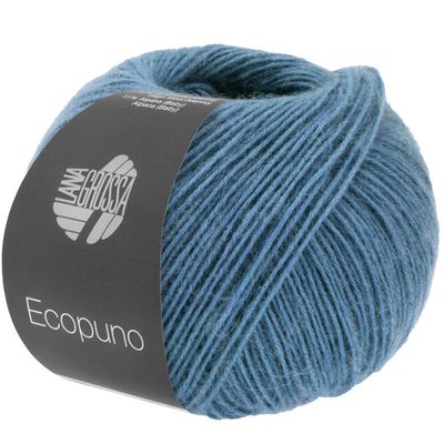 Ecopuno. 